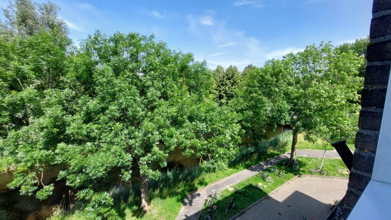 geblurde versie van de foto als achtergrond