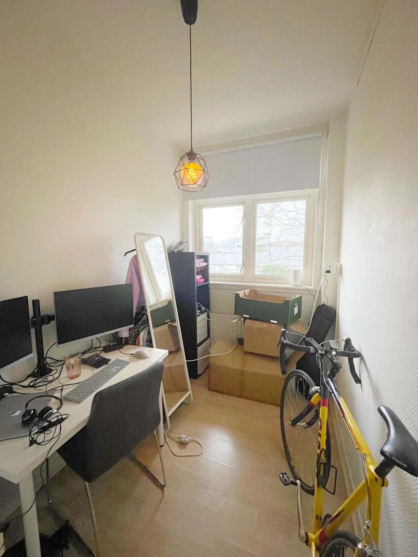 geblurde versie van de foto als achtergrond