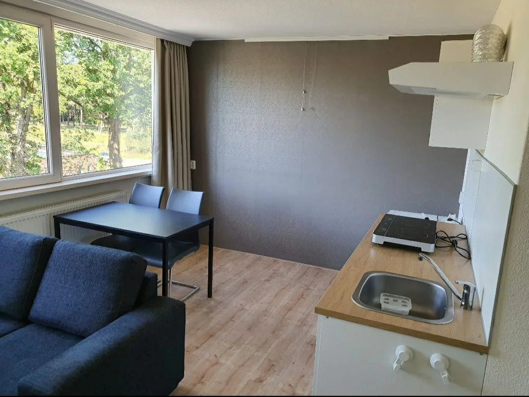 geblurde versie van de foto als achtergrond