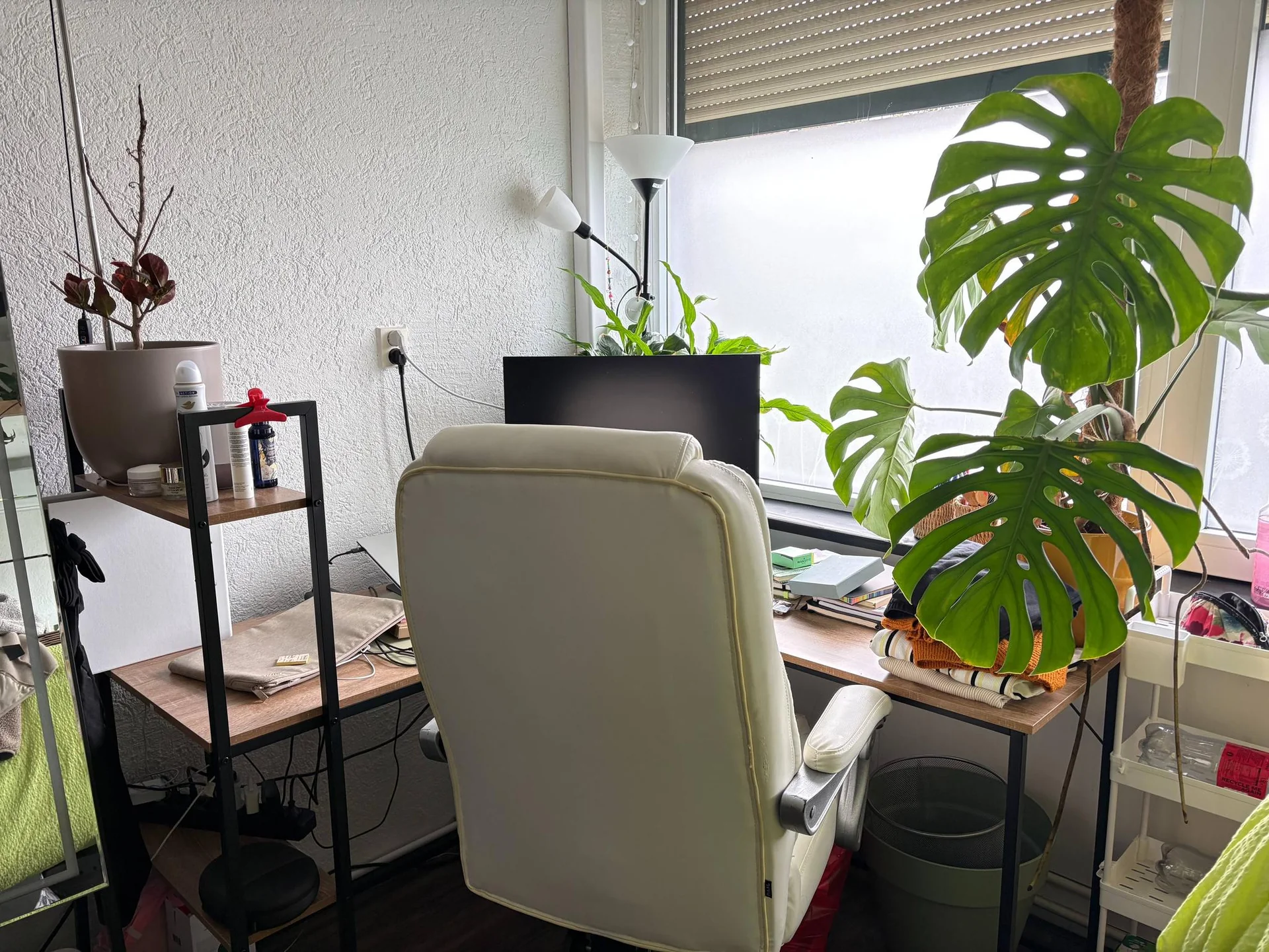 geblurde versie van de foto als achtergrond