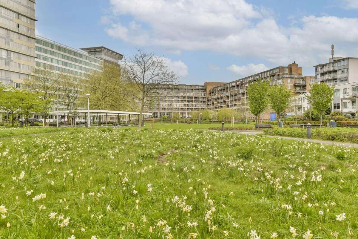 geblurde versie van de foto als achtergrond