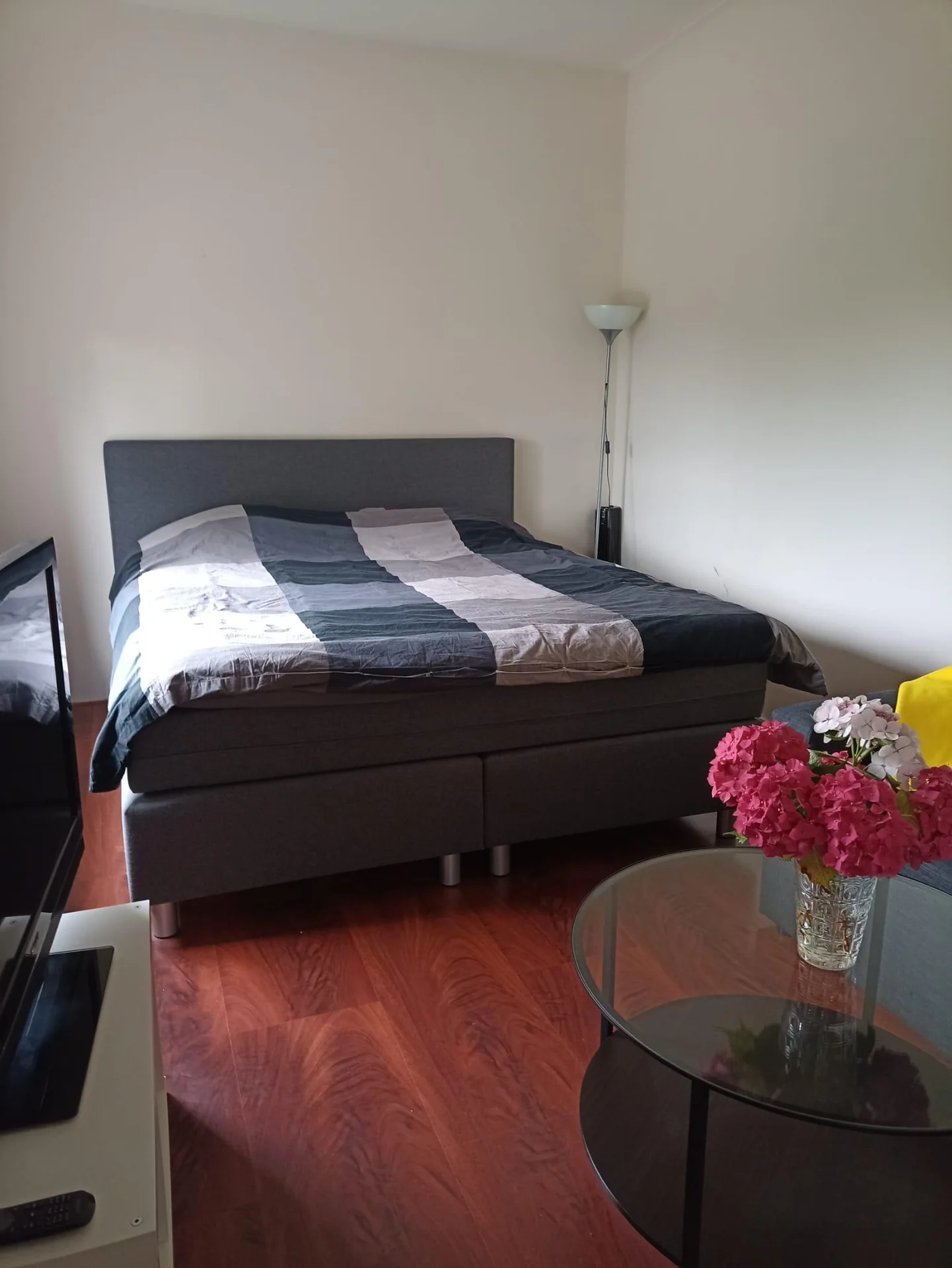 geblurde versie van de foto als achtergrond