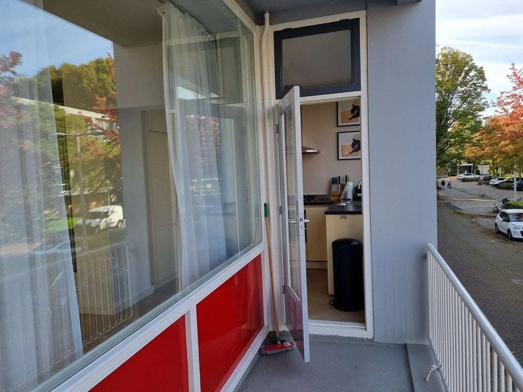 geblurde versie van de foto als achtergrond