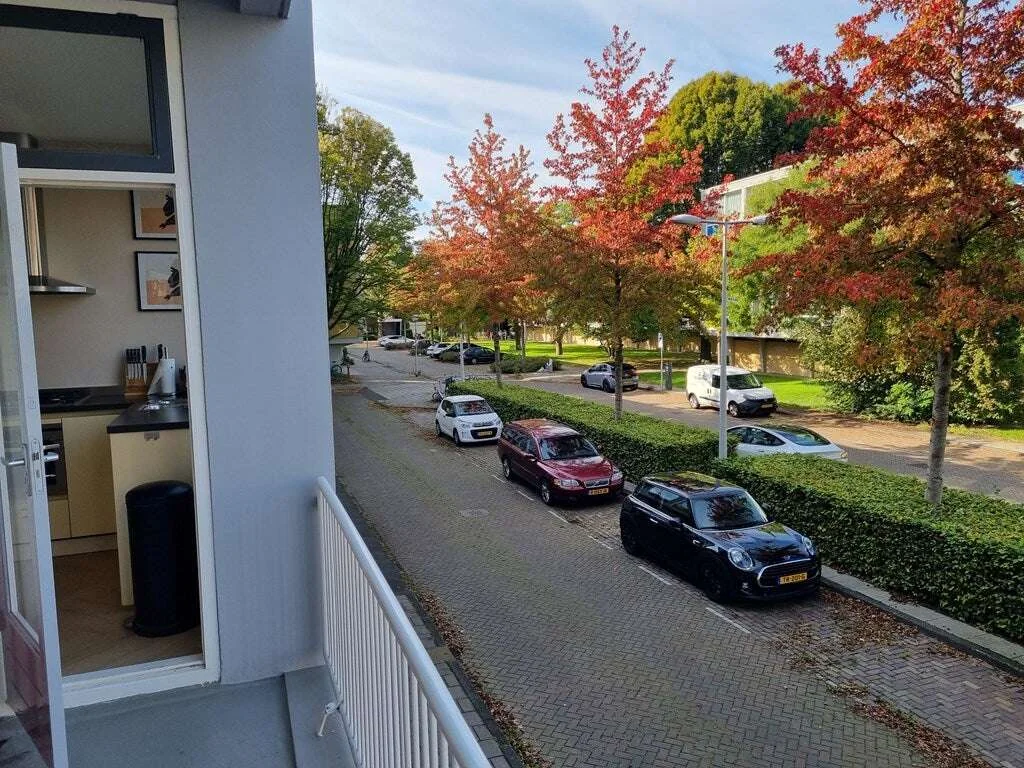 geblurde versie van de foto als achtergrond