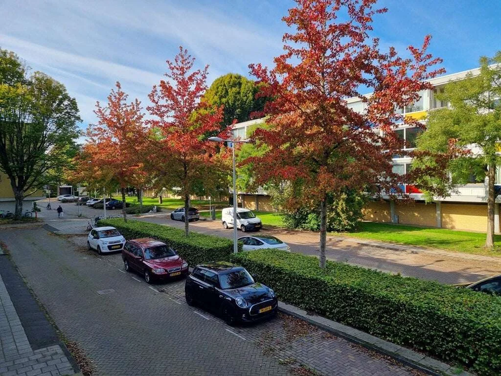 geblurde versie van de foto als achtergrond