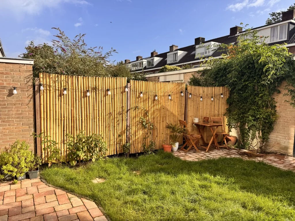 geblurde versie van de foto als achtergrond