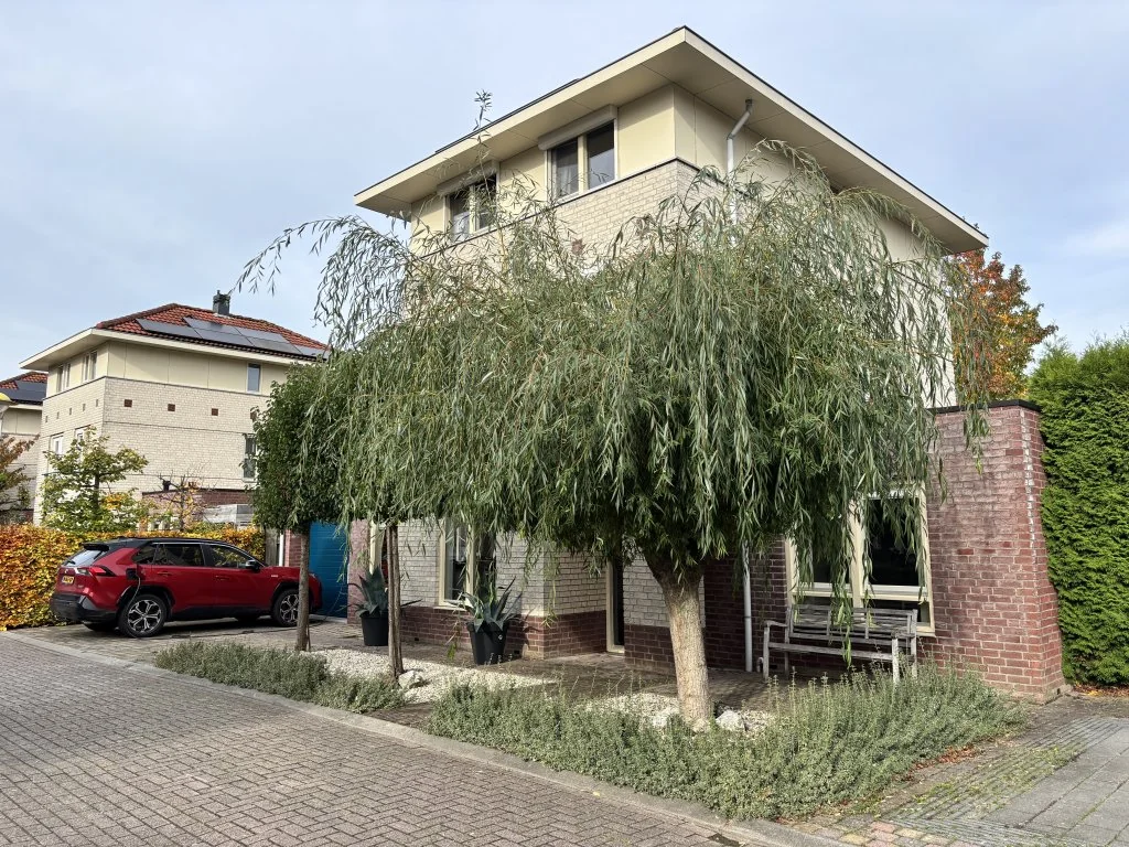 geblurde versie van de foto als achtergrond