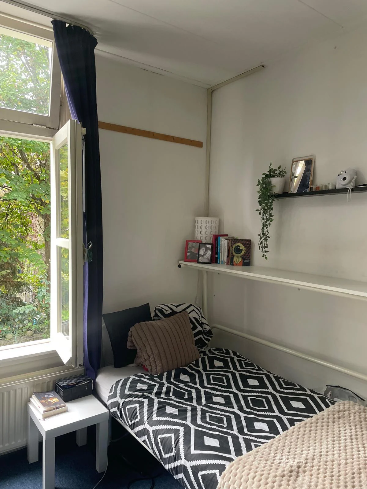 geblurde versie van de foto als achtergrond