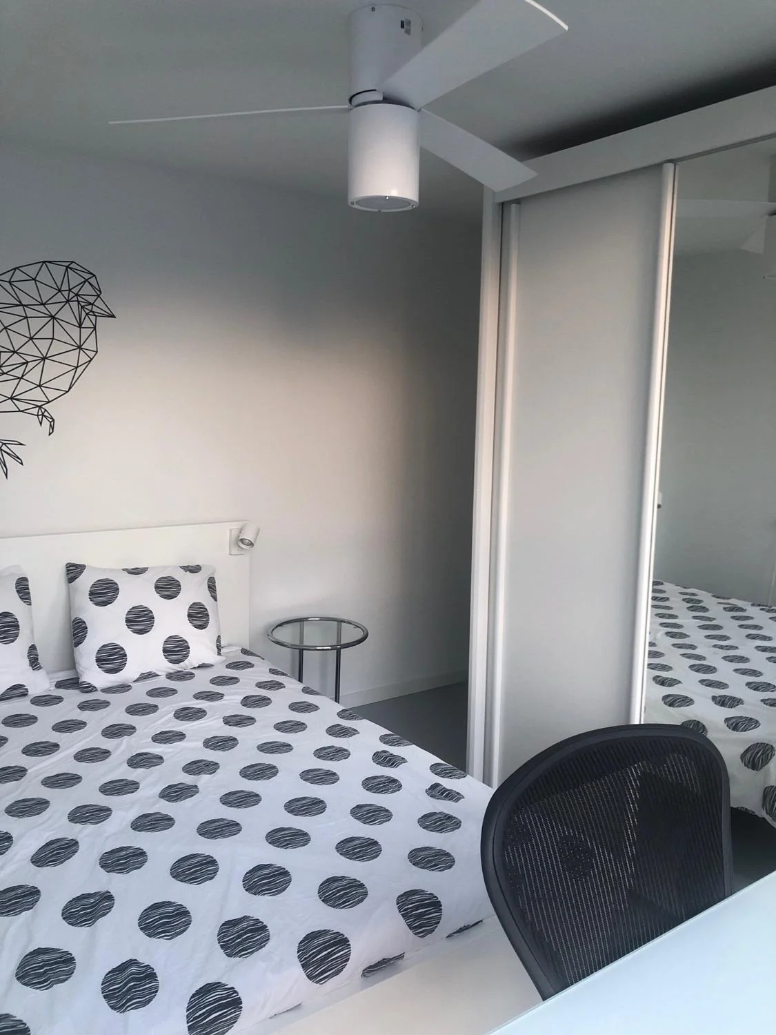 geblurde versie van de foto als achtergrond