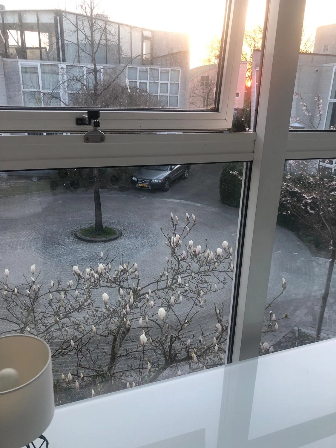 geblurde versie van de foto als achtergrond