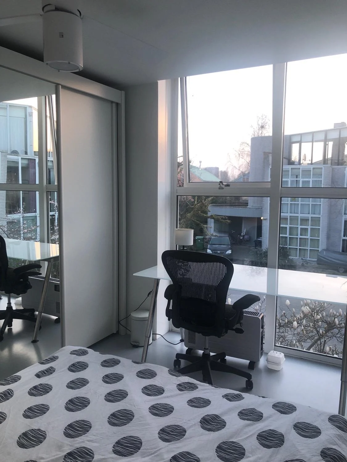 geblurde versie van de foto als achtergrond