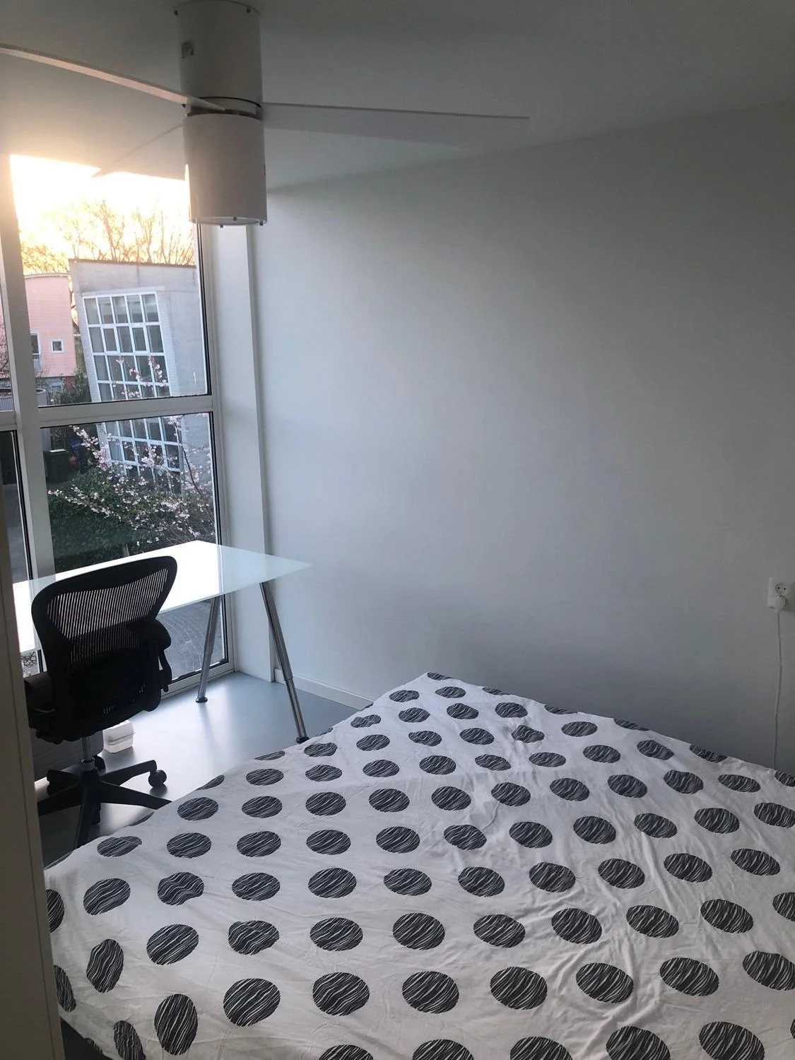 geblurde versie van de foto als achtergrond