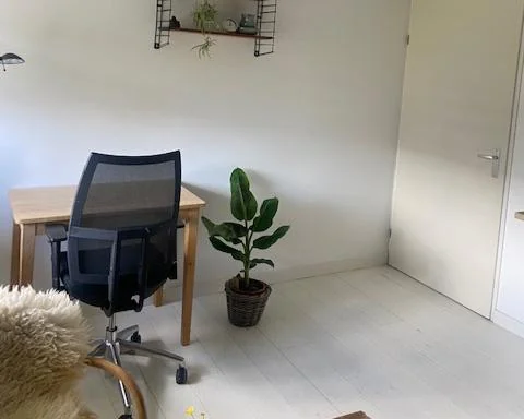 geblurde versie van de foto als achtergrond