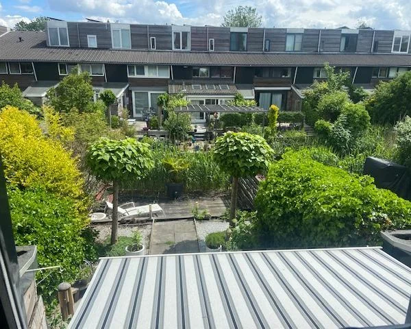 geblurde versie van de foto als achtergrond