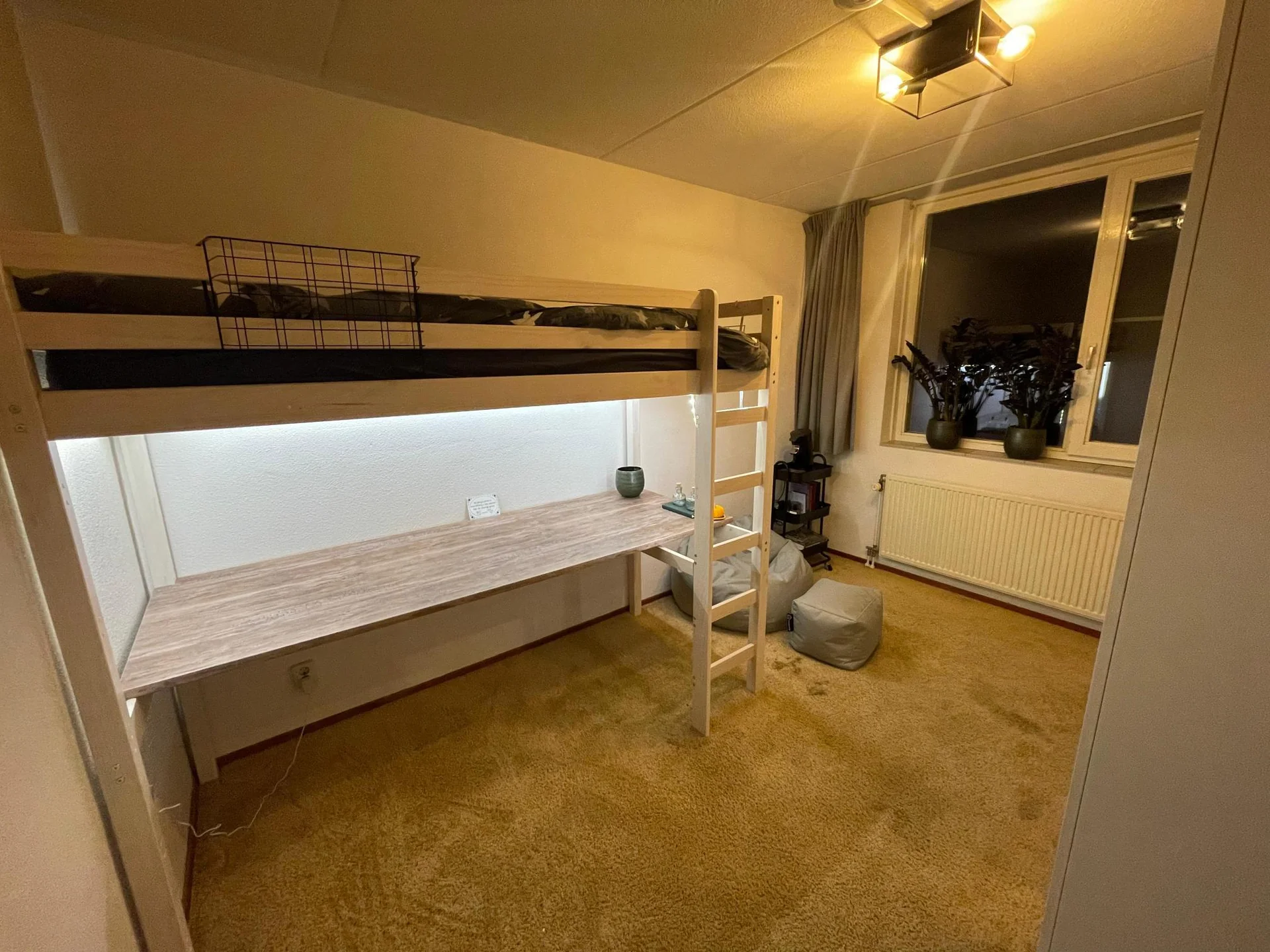 geblurde versie van de foto als achtergrond