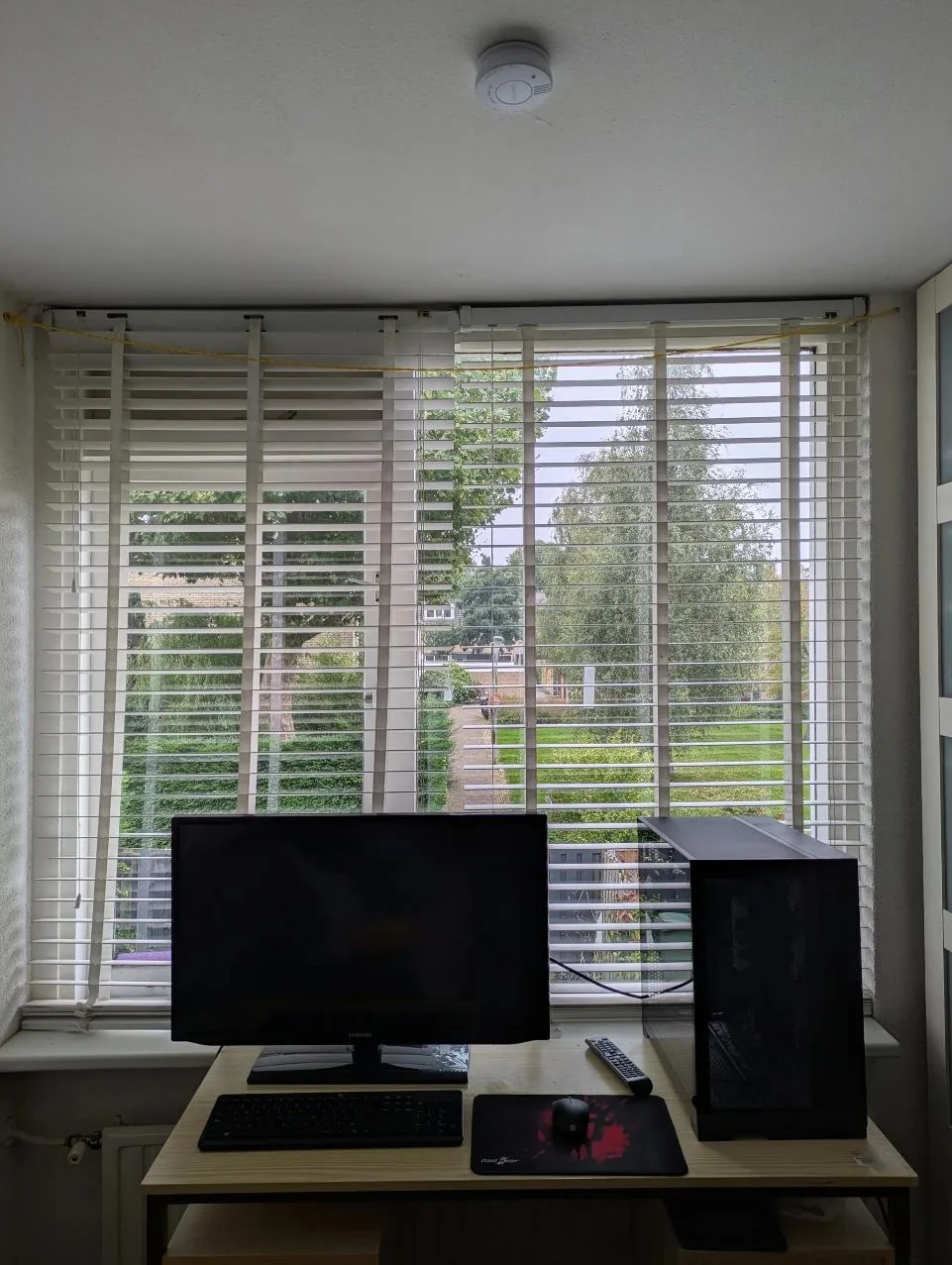 geblurde versie van de foto als achtergrond