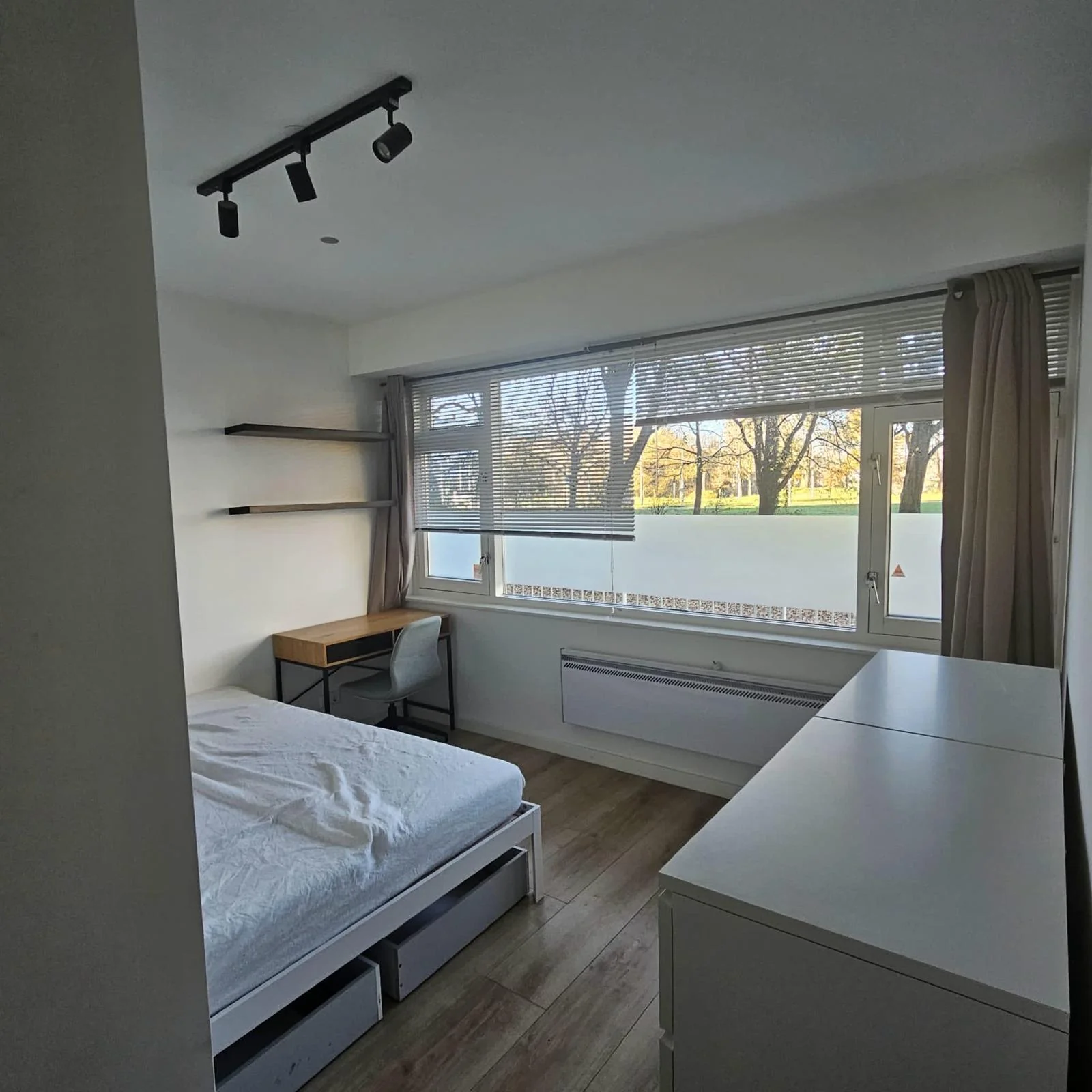 geblurde versie van de foto als achtergrond