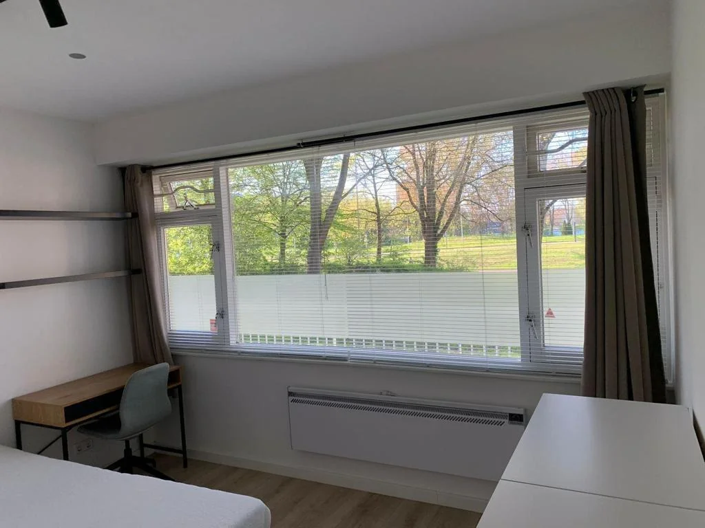 geblurde versie van de foto als achtergrond