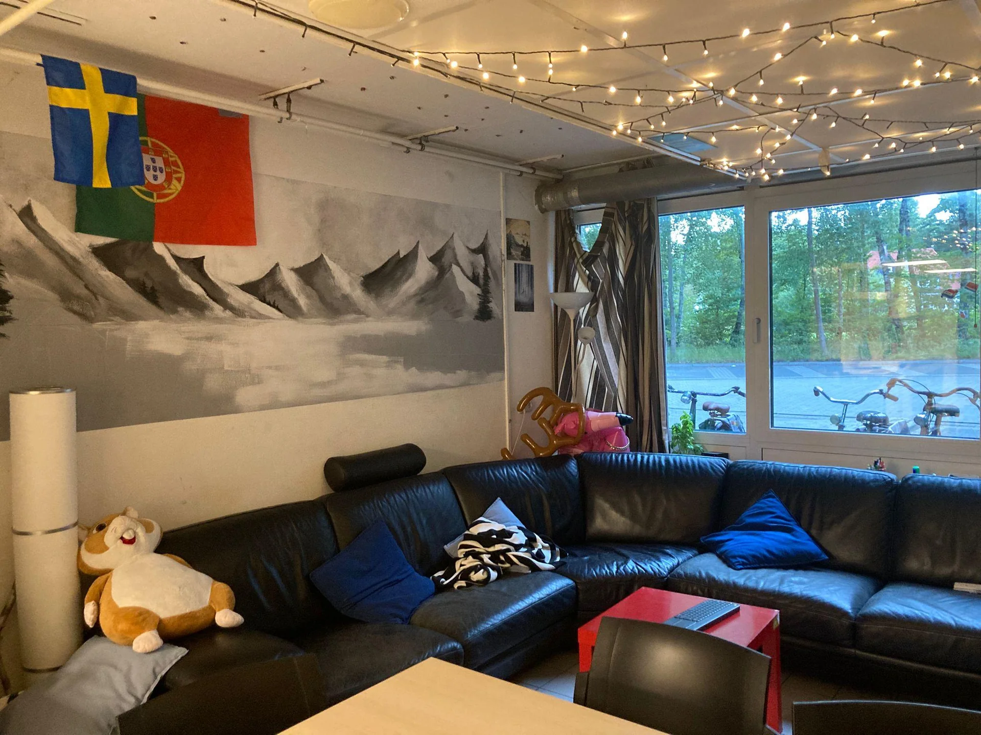 geblurde versie van de foto als achtergrond