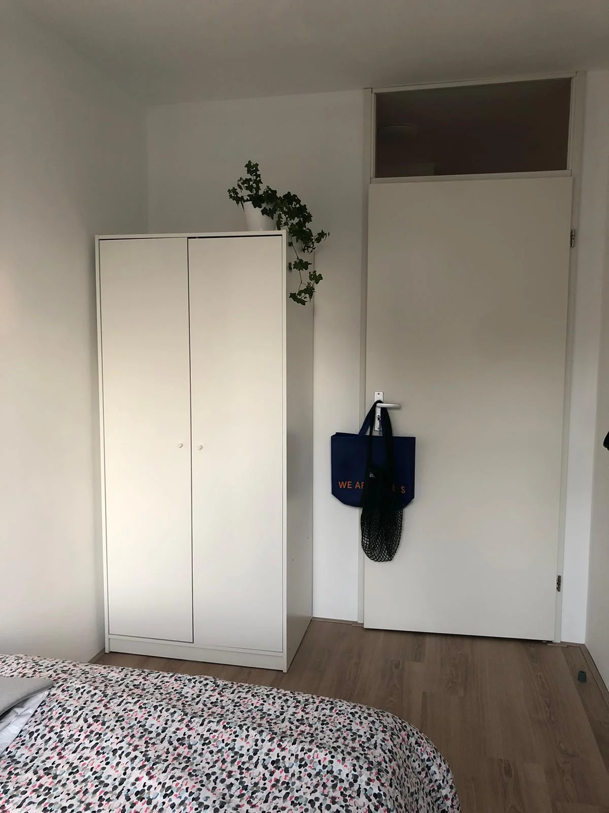 geblurde versie van de foto als achtergrond