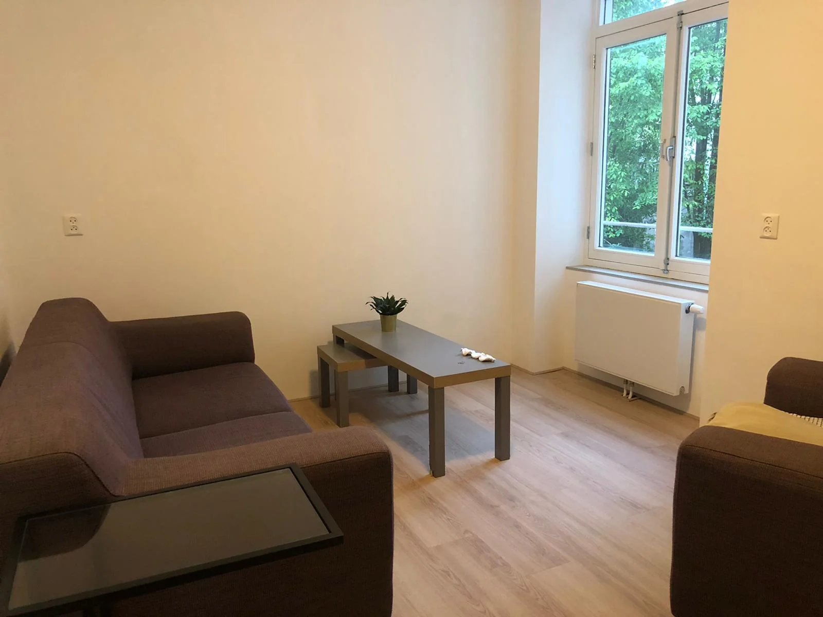 geblurde versie van de foto als achtergrond