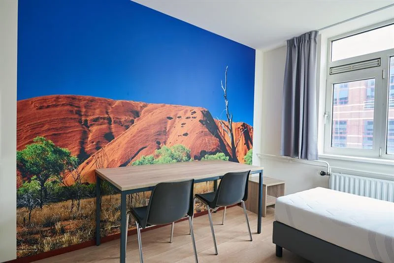 geblurde versie van de foto als achtergrond