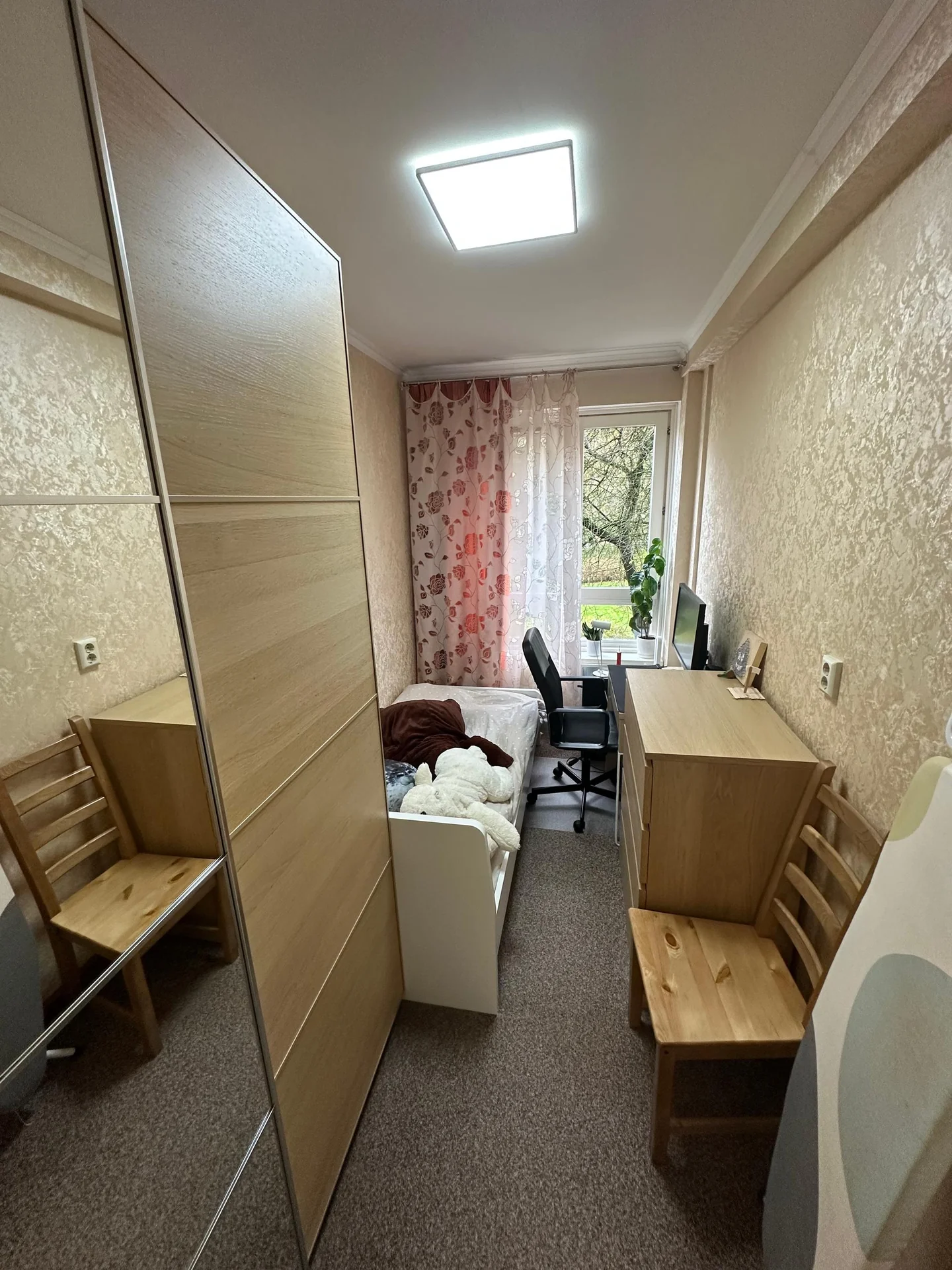 geblurde versie van de foto als achtergrond