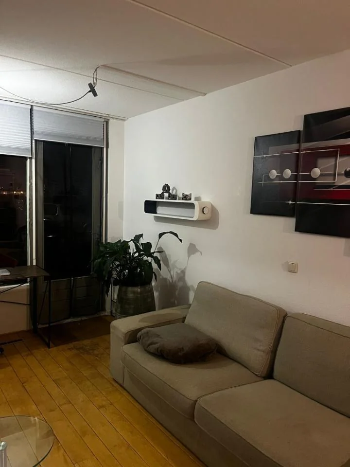 geblurde versie van de foto als achtergrond