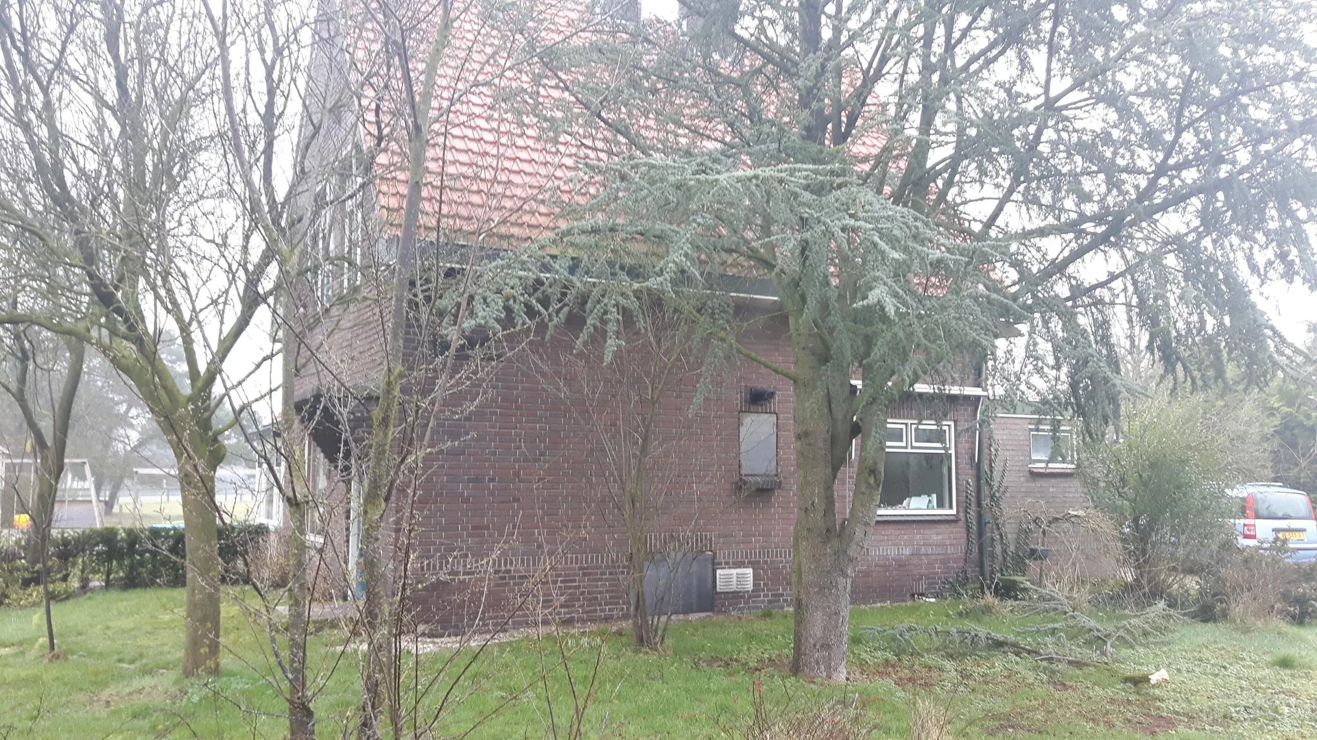 geblurde versie van de foto als achtergrond