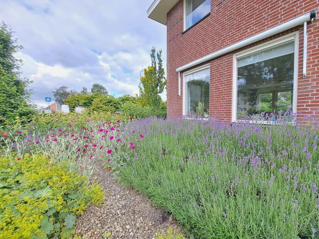 geblurde versie van de foto als achtergrond