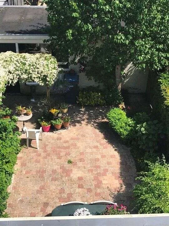 geblurde versie van de foto als achtergrond