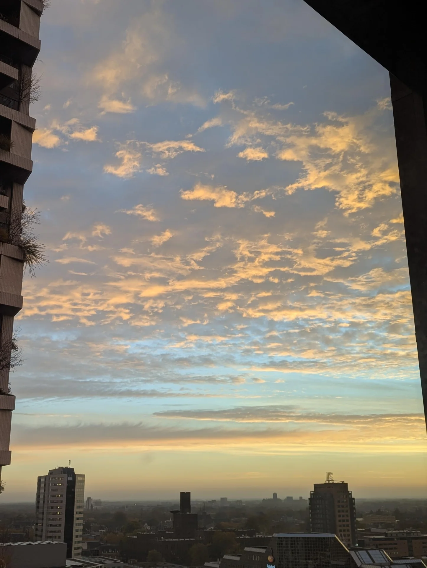 geblurde versie van de foto als achtergrond