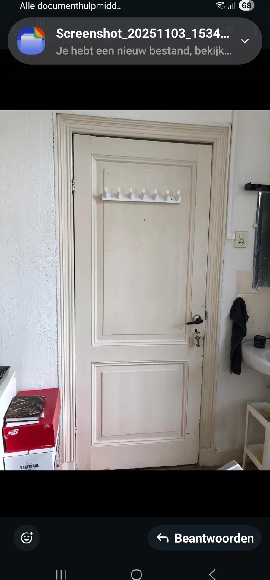 geblurde versie van de foto als achtergrond