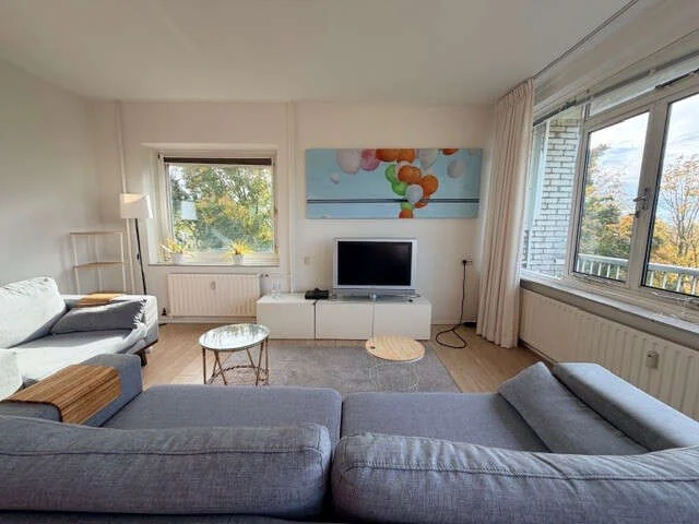 geblurde versie van de foto als achtergrond