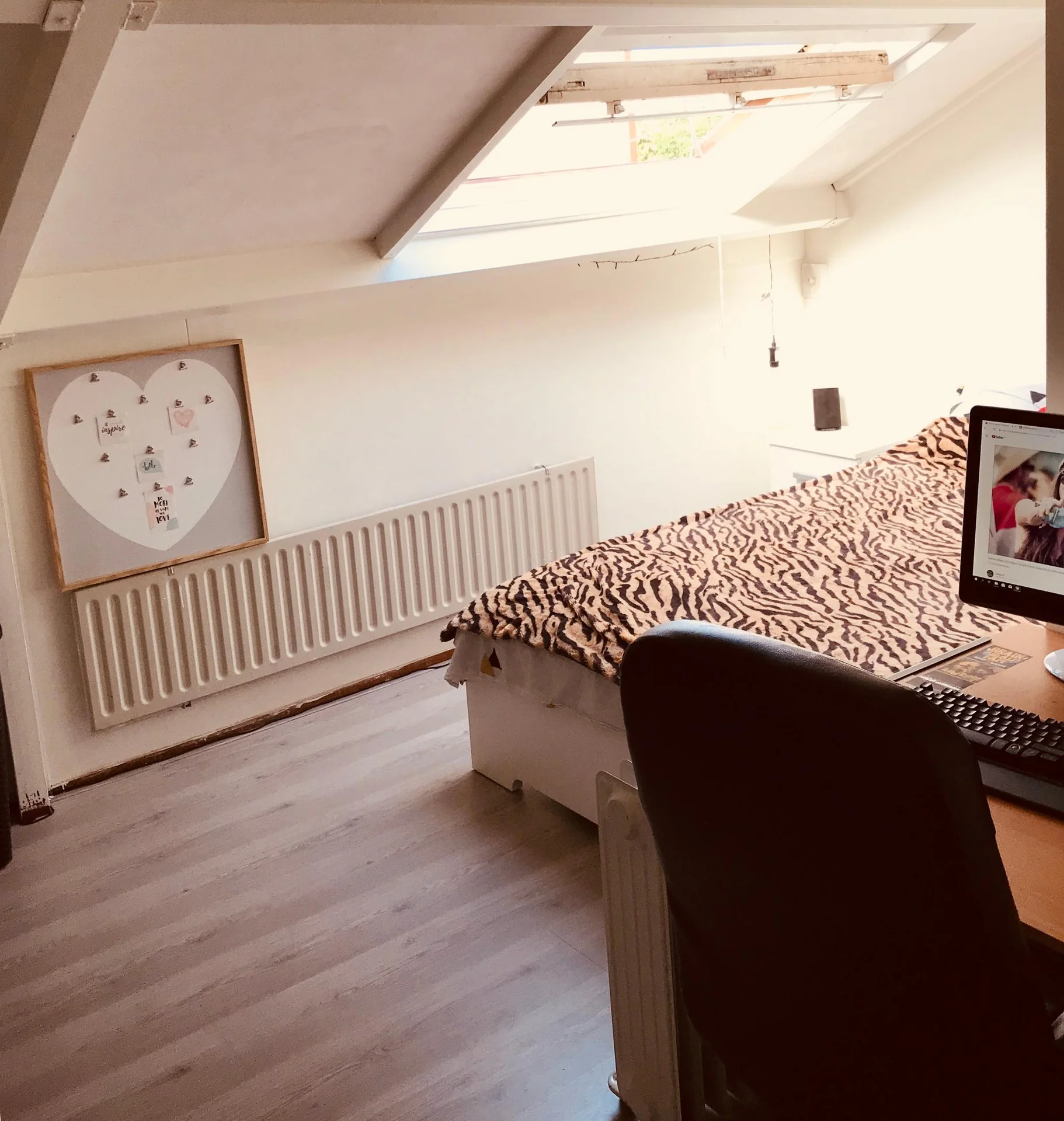 geblurde versie van de foto als achtergrond