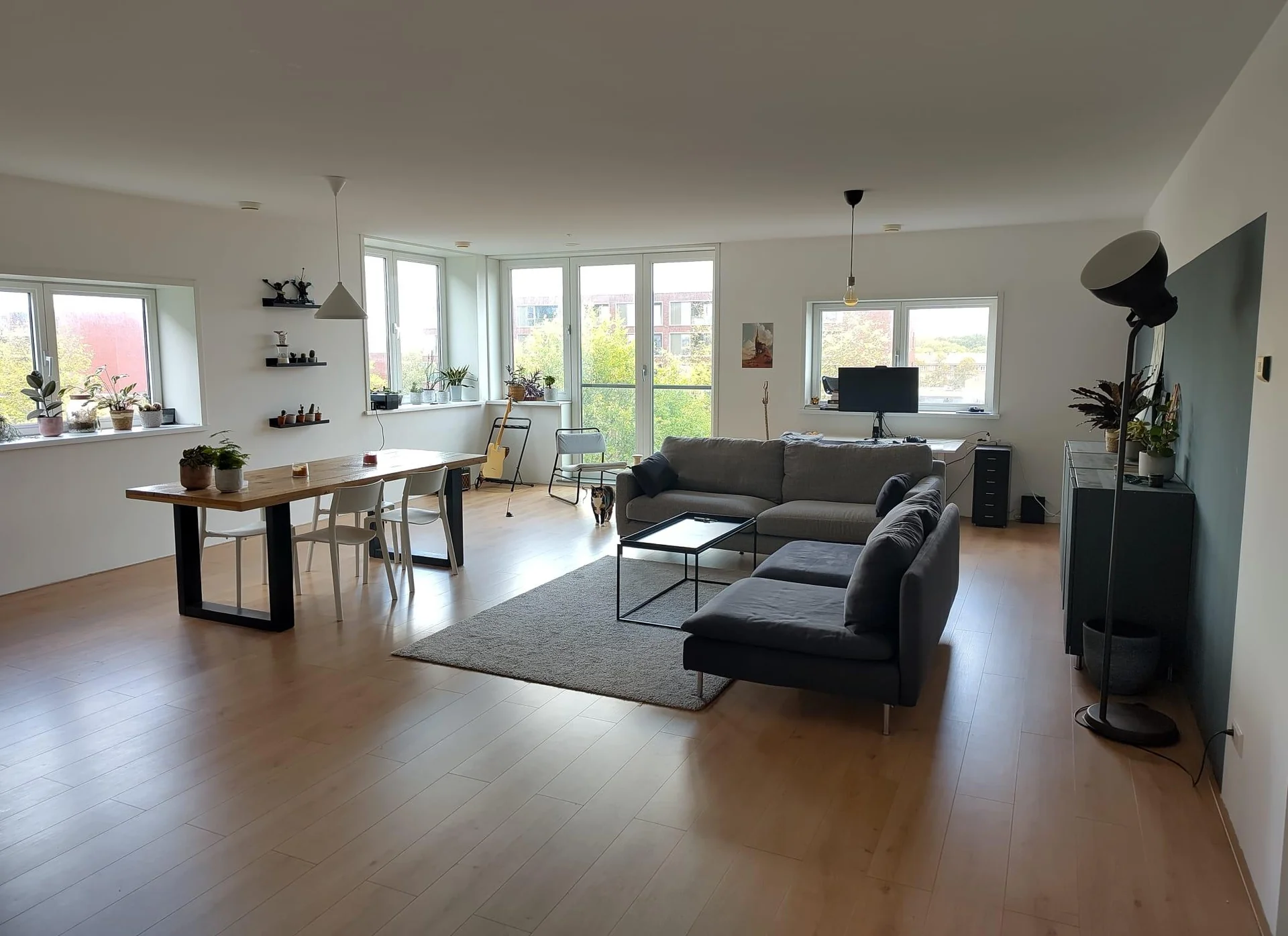 geblurde versie van de foto als achtergrond