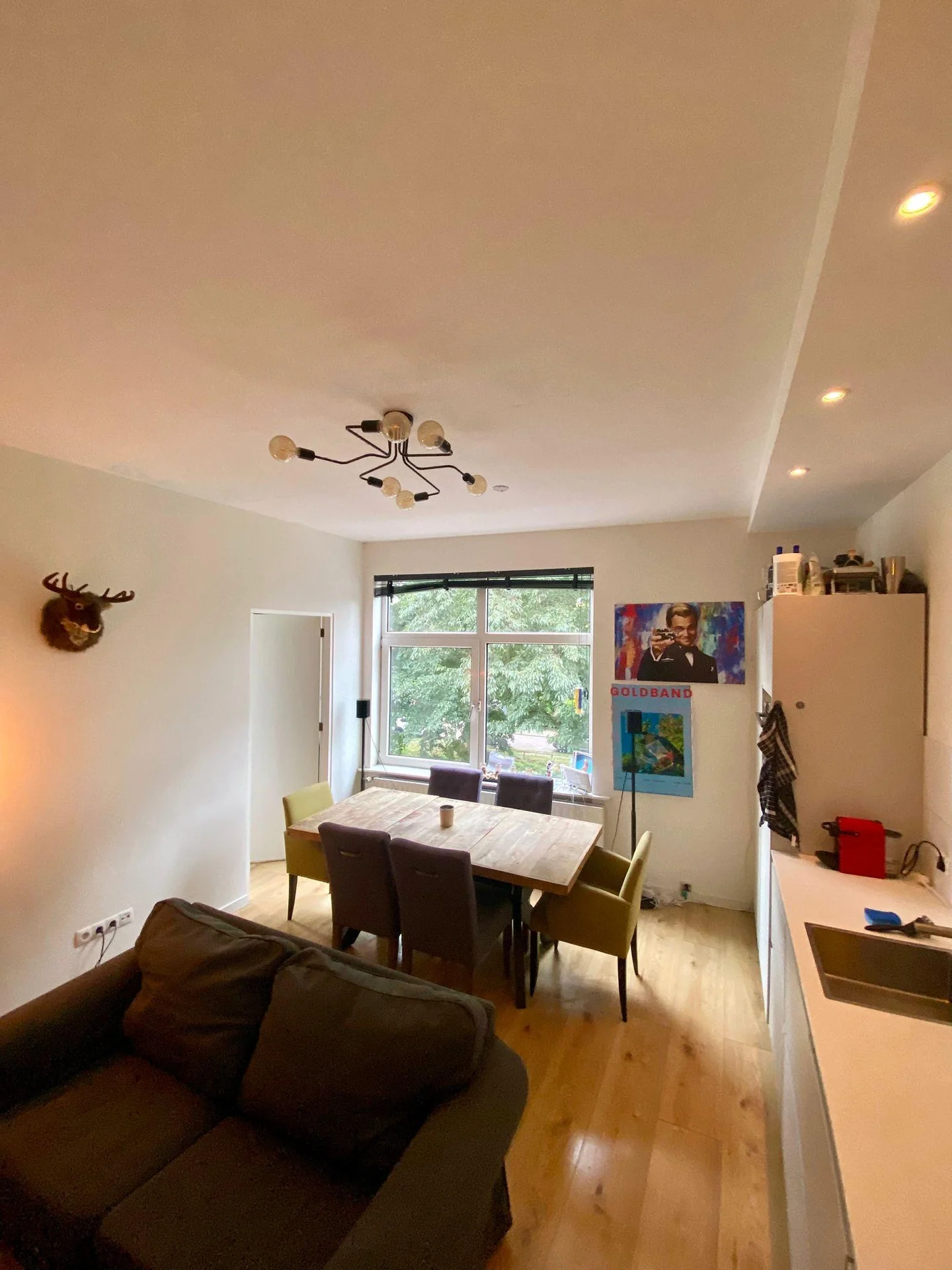 geblurde versie van de foto als achtergrond