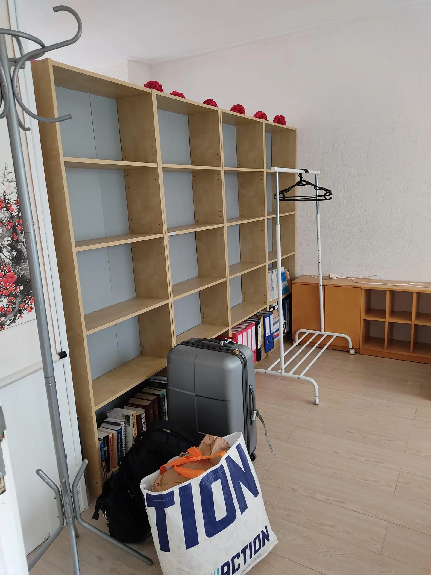 geblurde versie van de foto als achtergrond