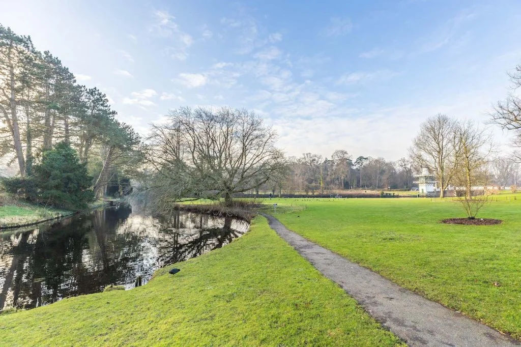 geblurde versie van de foto als achtergrond