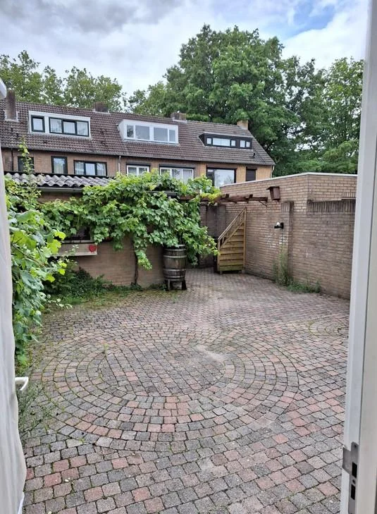 geblurde versie van de foto als achtergrond