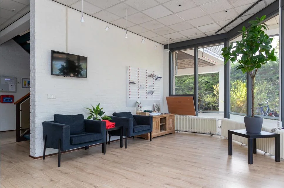 geblurde versie van de foto als achtergrond