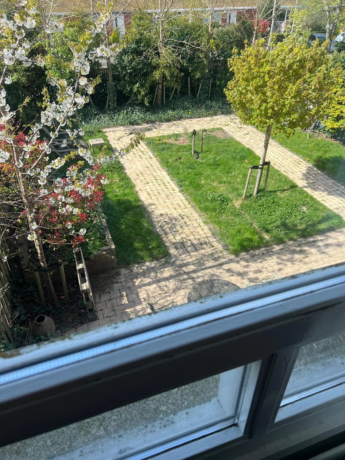 geblurde versie van de foto als achtergrond