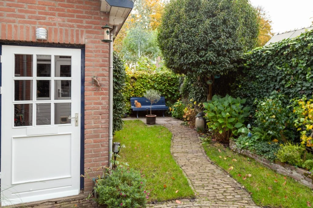 geblurde versie van de foto als achtergrond