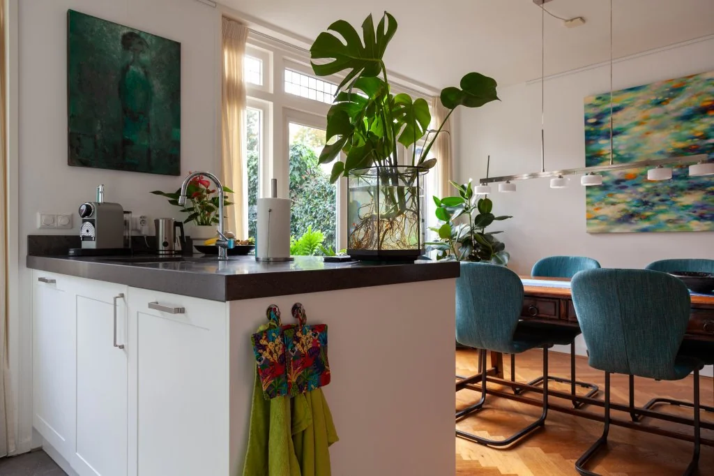 geblurde versie van de foto als achtergrond