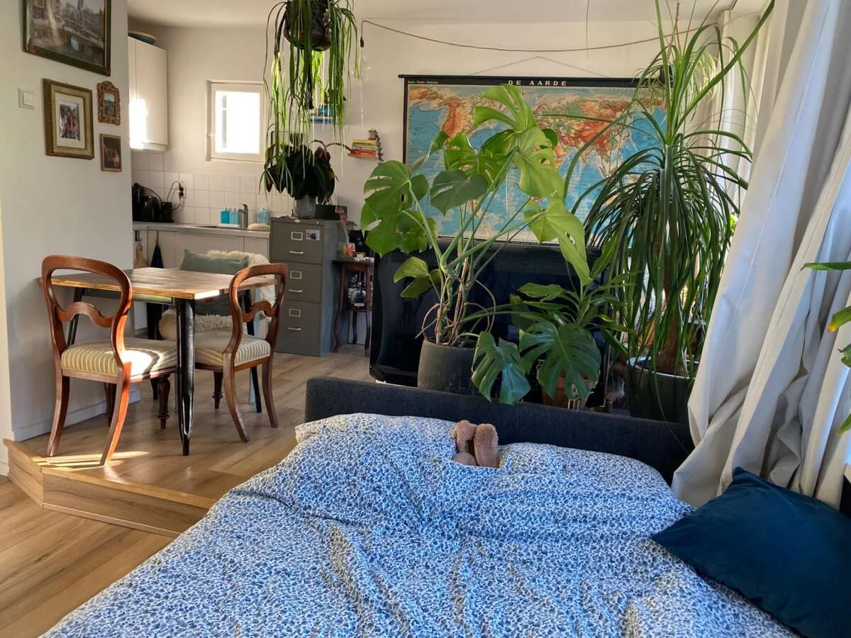 geblurde versie van de foto als achtergrond