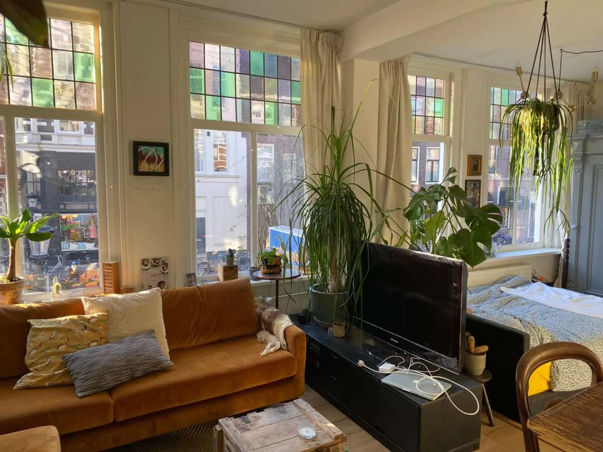 geblurde versie van de foto als achtergrond