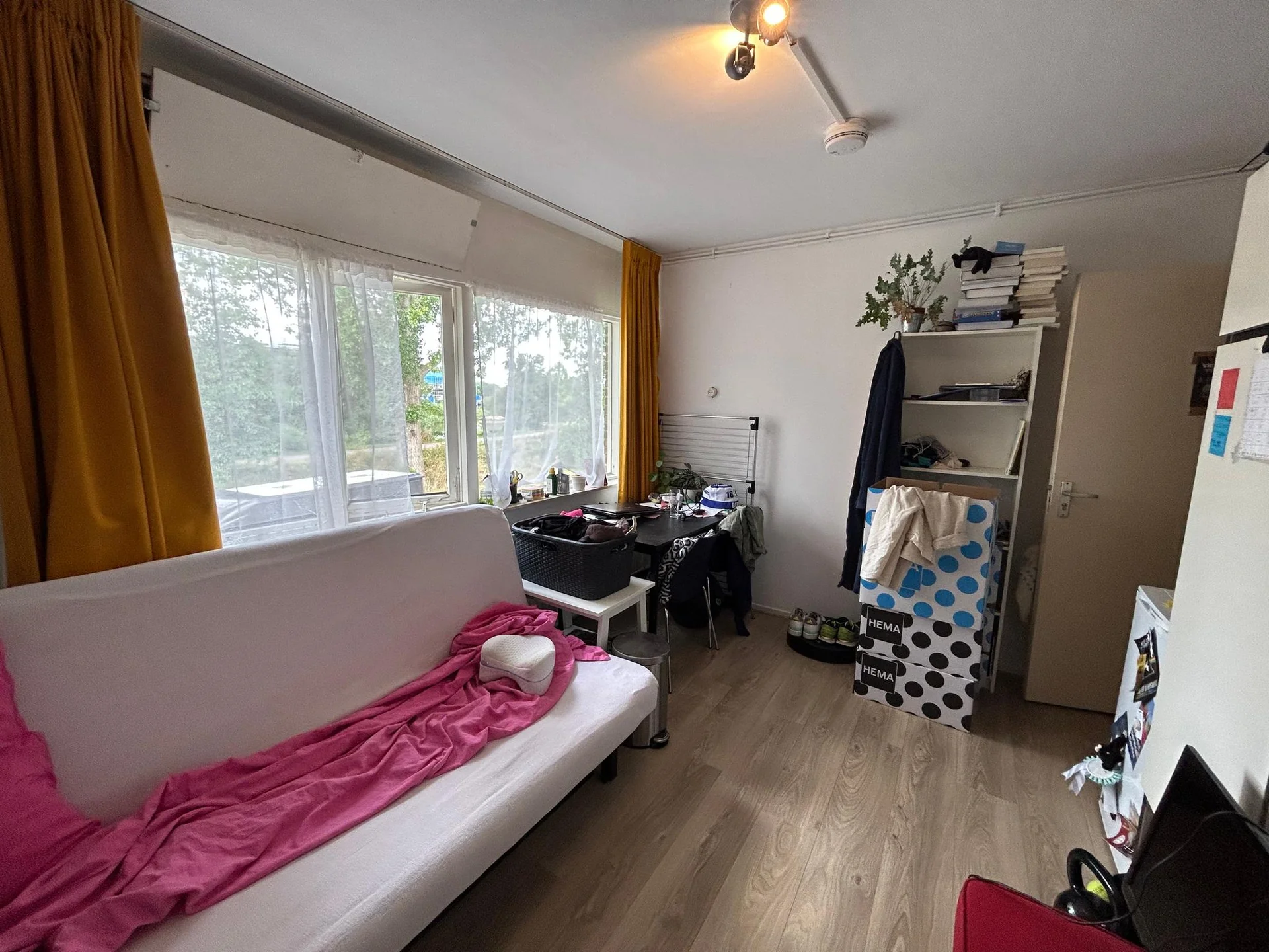 geblurde versie van de foto als achtergrond