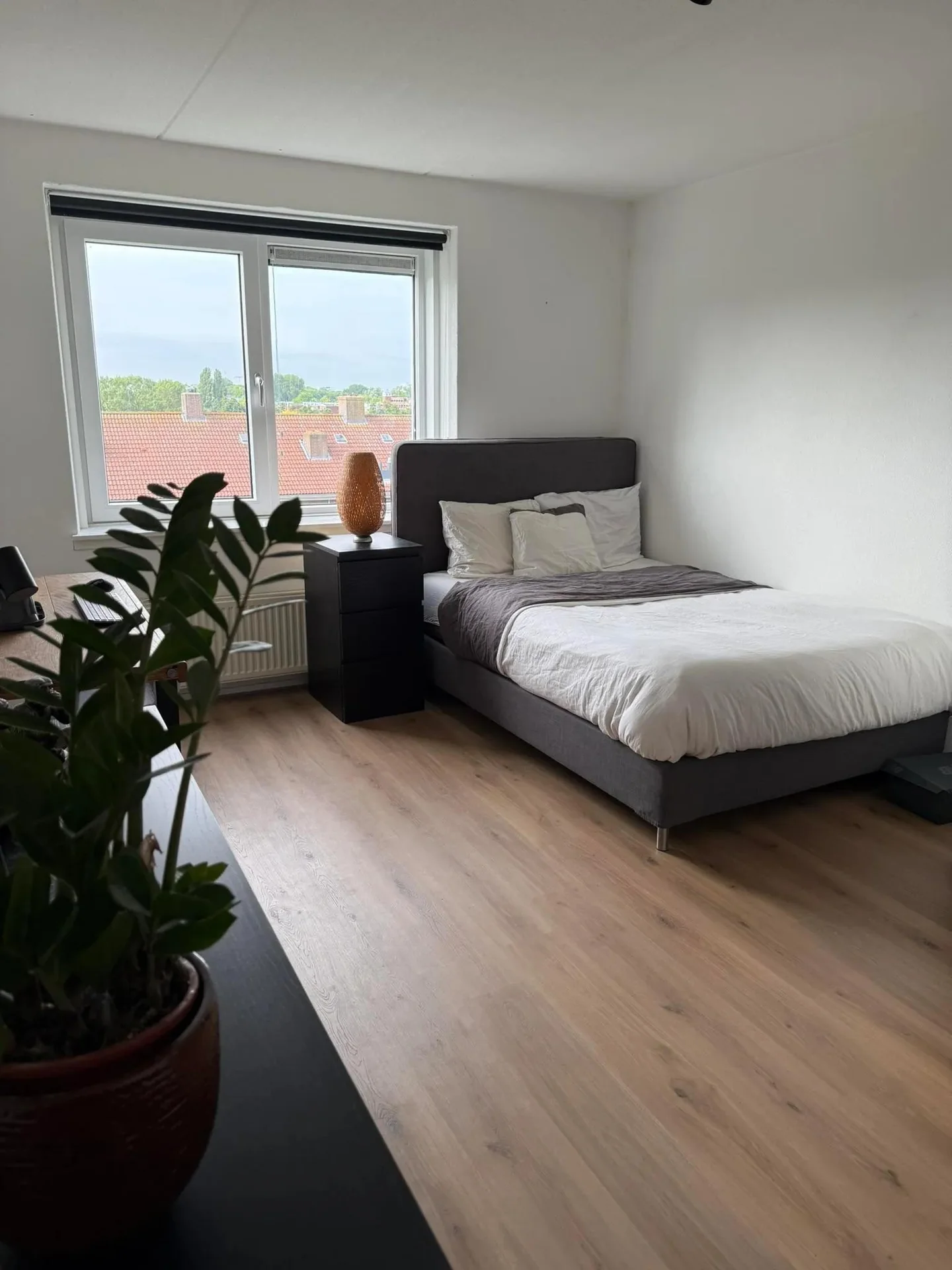 geblurde versie van de foto als achtergrond