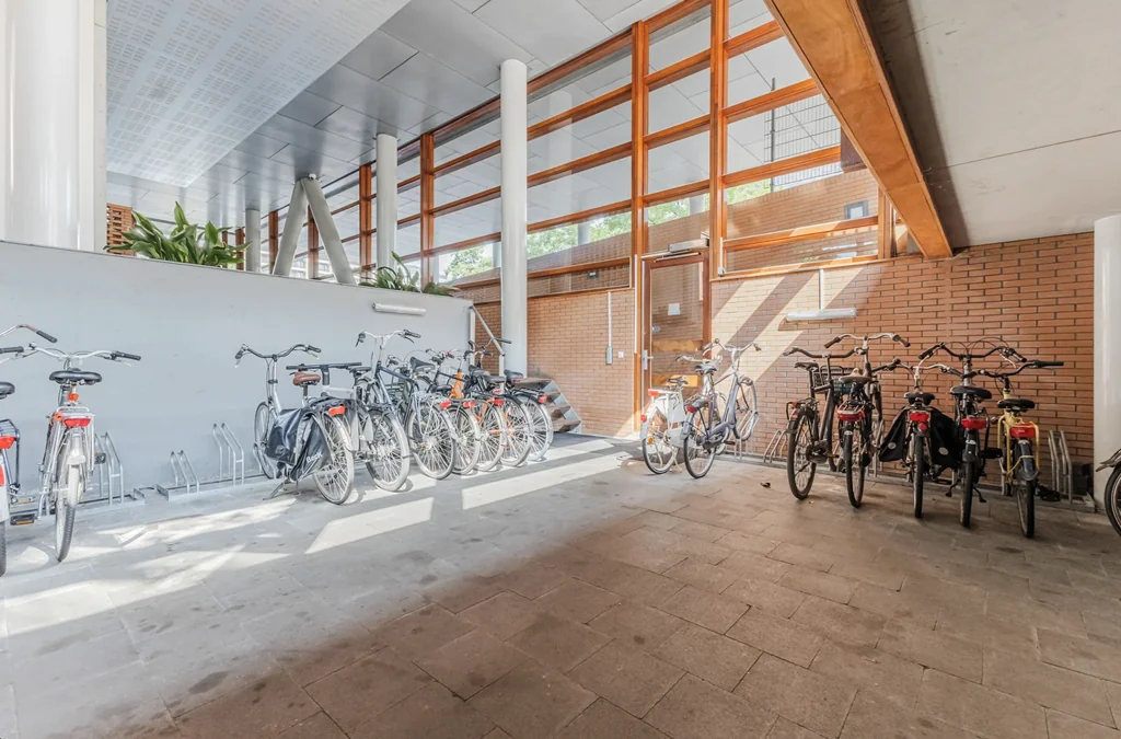 geblurde versie van de foto als achtergrond