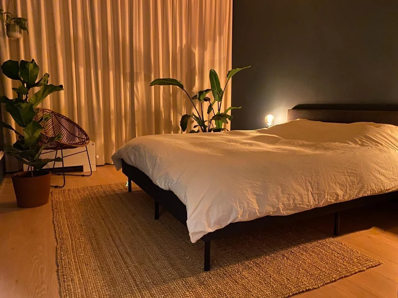 geblurde versie van de foto als achtergrond